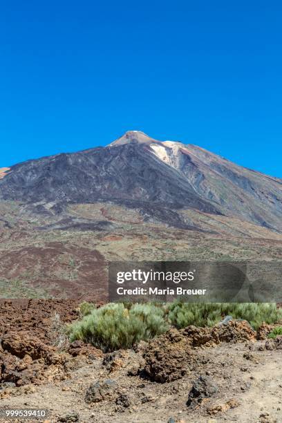 pico del teide, 3718 m, view from the mirador azulejos ii viewpoint of the volcanic landscape of las canadas, teide national park, unesco world heritage site, tenerife, canary islands, spain - mirador stock pictures, royalty-free photos & images