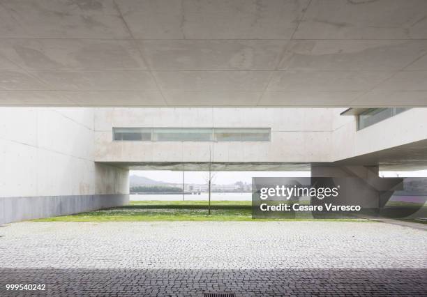 biblioteca municipal de viana do castelo - castelo 個照片及圖片檔