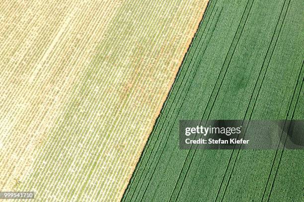 aerial view, cornfields, landshut, lower bavaria, bavaria, germany - niederbayern stock-fotos und bilder