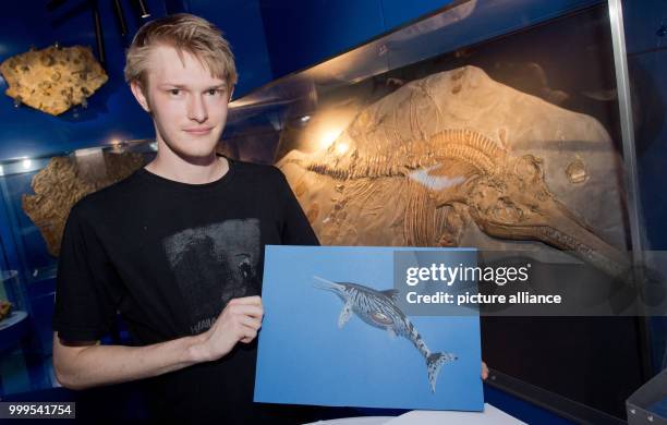 The paleo-artist Joschua Knueppe shows a 200 million years old fossilized fish dinosaur next to a illustration of it at the State Museum in Hanover,...
