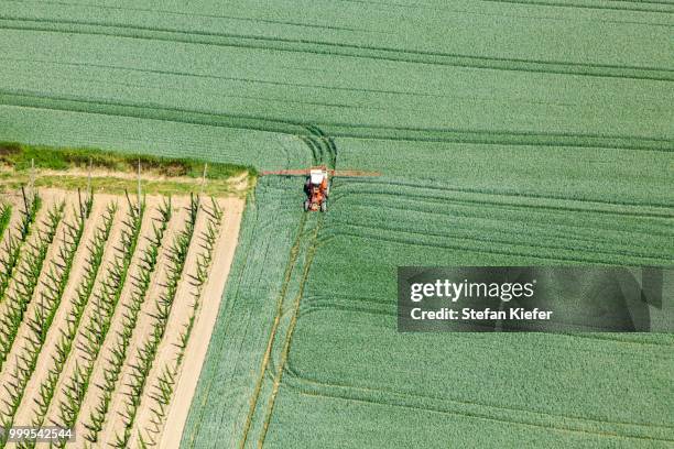 aerial view, farmer in a tractor spraying a green wheat field, landshut, lower bavaria, bavaria, germany - kiefer foto e immagini stock