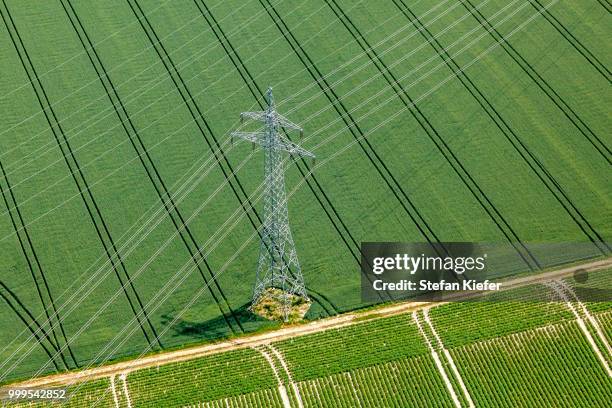 aerial view, high-voltage transmission pylon on a green whaet field, landshut, lower bavaria, bavaria, germany - kiefer foto e immagini stock