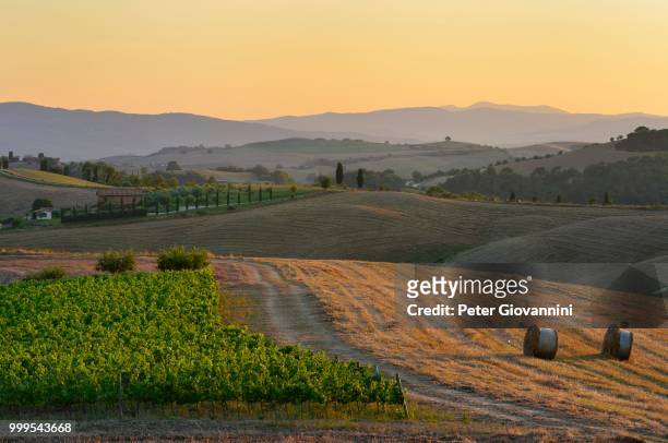 hilly landscape in the crete senesi, province of siena, tuscany, italy - siena province - fotografias e filmes do acervo