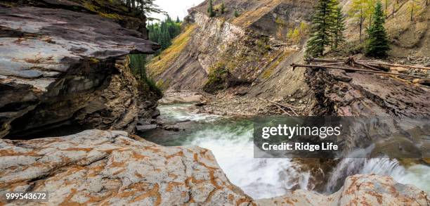 muskeg falls canyon - muskeg photos et images de collection