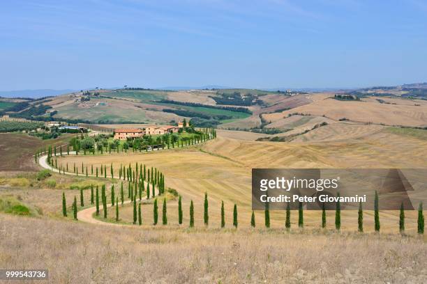 road lined with cypress trees leading to a farm in the crese senesi, province of siena, tuscany, italy - siena province - fotografias e filmes do acervo