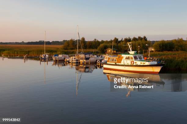 a small motorboat anchored at a landing stage on the bodden lagoon, evening mood, zingst, fischland-zingst, mecklenburg-western pomerania, germany - pomerania stock pictures, royalty-free photos & images