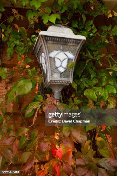 vine covered house lamp in autumn, magog, eastern townships, quebec, canada - eastern townships quebec stock pictures, royalty-free photos & images