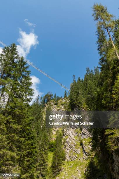 the holzgauer haengebruecke suspension bridge from below, 200.5 m long, 1.20 m wide and 110 m height, longest and highest cable-suspension bridge in austria, holzgau, lech valley, austria - lech valley bildbanksfoton och bilder