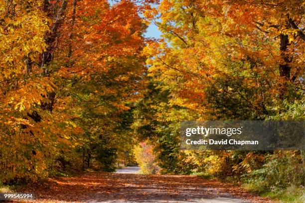 dirt road in autumn, austin, eastern townships, quebec, canada - eastern townships quebec stock pictures, royalty-free photos & images