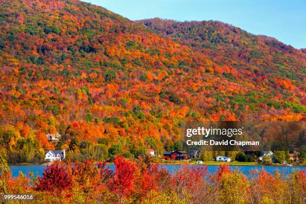 lac bromont in autumn, bromont, eastern townships, quebec, canada - lac fotografías e imágenes de stock