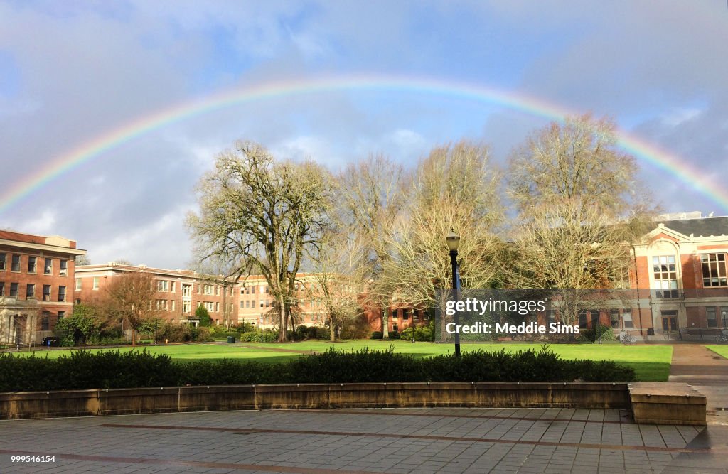OSU Rainbow