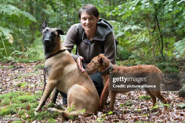 Forestry student and dog handler Svenja Schmidt poses with her beetle tracking dogs 'Tilda' and 'Bene' in the nature reserve 'Lauenberger Eichen' in...