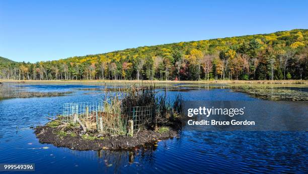 pond between great barrington and stockbridge - stockbridge imagens e fotografias de stock