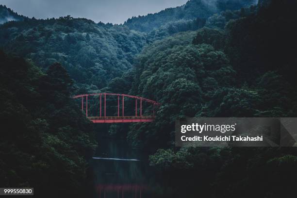 red https://500px.com/photo/226446793/ - koukichi fotografías e imágenes de stock