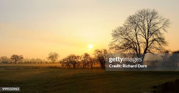 sunrise with trees and ground fog, rheinberg, niederrhein, north rhine-westphalia, germany - niederrhein stock-fotos und bilder