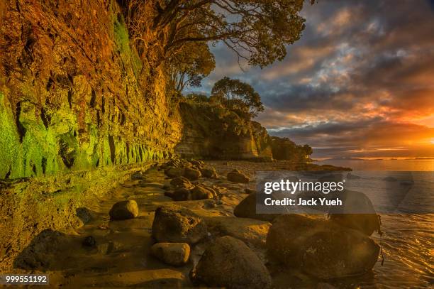Murrays Beach Murrays Beach Photos and Premium High Res Pictures - Getty Images