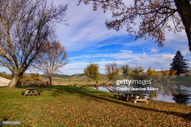 picnic area at petaluma cheese factory - petaluma stock-fotos und bilder