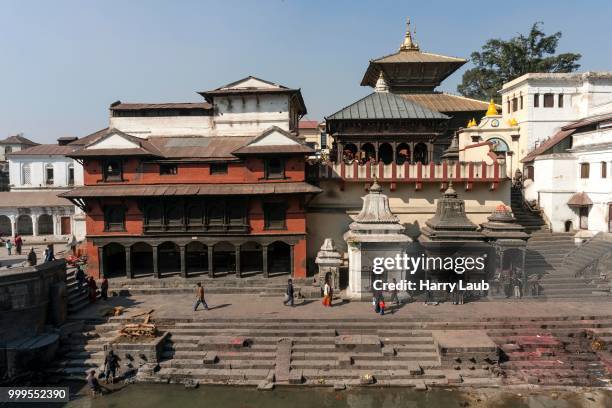 pashupathinath temple, in front ghat for royal cremations, river bagmati, pashupatinath, kathmandu, unesco world heritage site, nepal - laub stockfoto's en -beelden