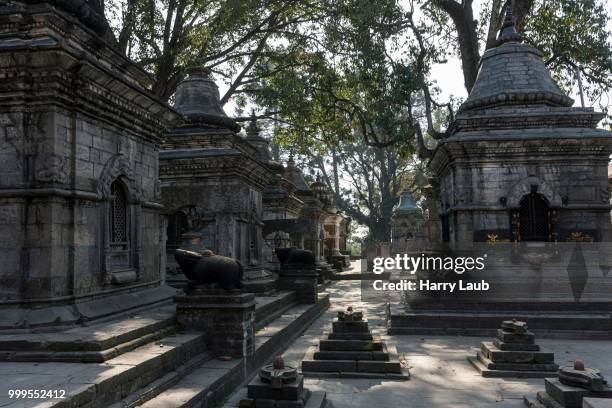 gorakhnath temple, pashupatinath, kathmandu, unesco world heritage site, nepal - laub stockfoto's en -beelden