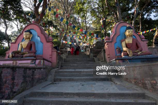 climb to the swayambhunath stupa, kathmandu, unesco world heritage site, nepal - valle de kathmandu fotografías e imágenes de stock
