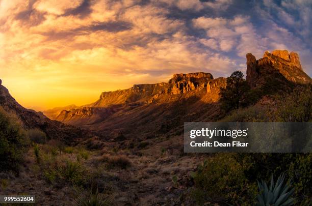 1,052 Dean Fikar Stock Photos, High-Res Pictures, and Images - Getty Images