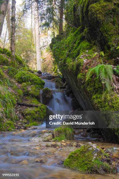 628 Spring Runoff Stock Photos, High-Res Pictures, and Images - Getty ...