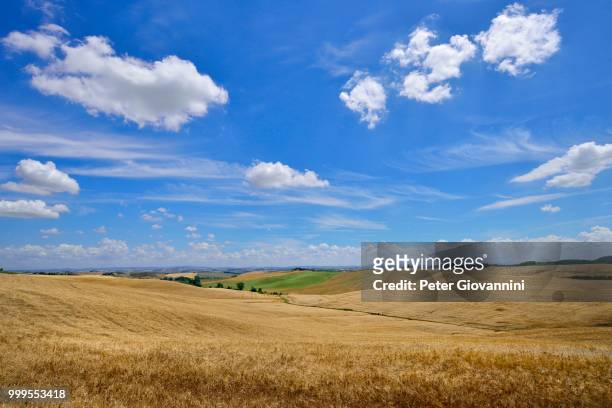 hilly landscape with cornfields and white clouds in the sky, near murlo, province of siena, tuscany, italy - siena province - fotografias e filmes do acervo
