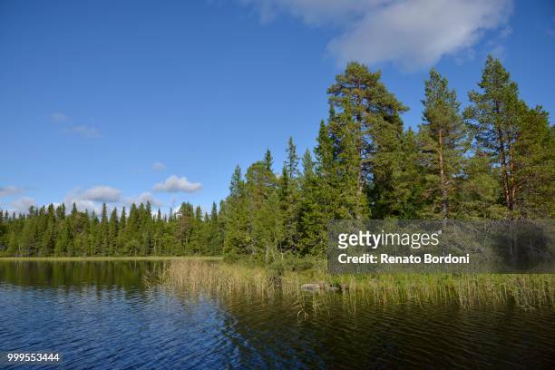 swedish lake district, oejarn, stroemsund, jaemtland county, sweden - jamtland stock pictures, royalty-free photos & images