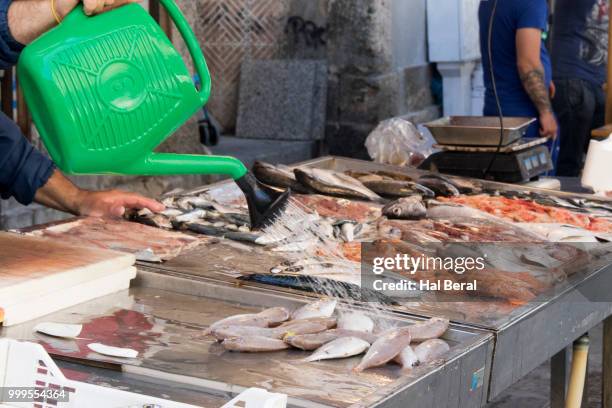 seller sprinkles water on fish to keep them fresh in the syracuse public market - keep ストックフォトと画像