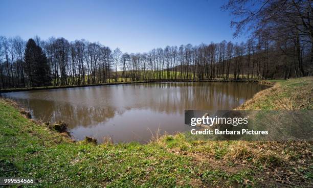 lake view to the rural countryside in spring - sunset barbara stock-fotos und bilder