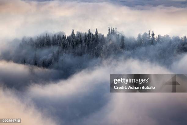 foggy morning - adnan foto e immagini stock