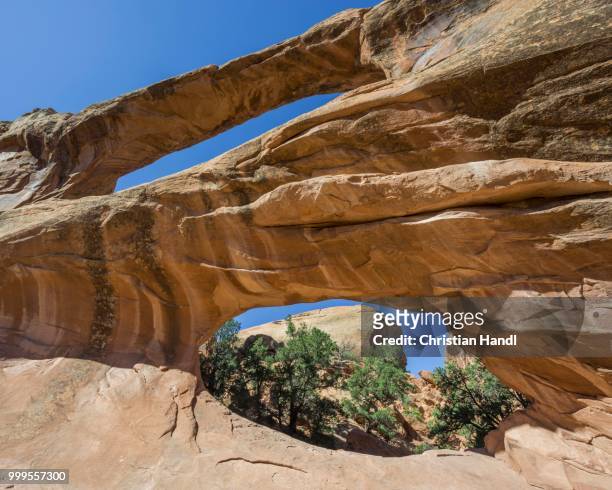 double o arch, natural arch, arches national park, moab, utah, united states - double arch stock pictures, royalty-free photos & images