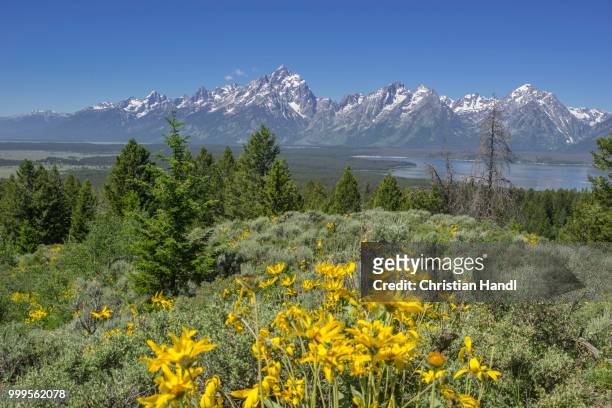 view of grand teton national park from signal mountain road, wyoming, united states - signal stock-fotos und bilder