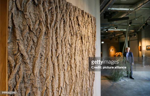 The object "Rinde auf Holz" of Johannes Domenig can be seen at the exhibition "The Tree as Art Work" at the Waelderhaus in Hamburg, Germany, 1...