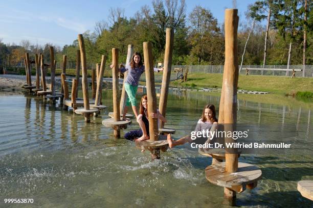 children playing at the erlebnispark wasser fisch natur adventure park, at murner see lake, near wackersdorf, upper palatinate lake district, upper palatinate, bavaria, germany - natuur stock pictures, royalty-free photos & images