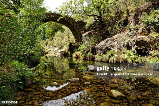 by the old bridge - jacques stock pictures, royalty-free photos & images