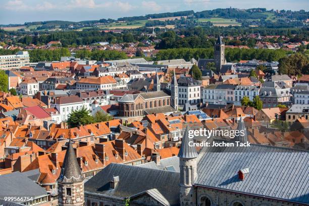 view over the roofs of the historic centre, tournai, hainaut, belgium - hainaut 個照片及圖片檔