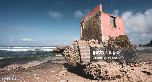 bathsheba bay - snello stock pictures, royalty-free photos & images