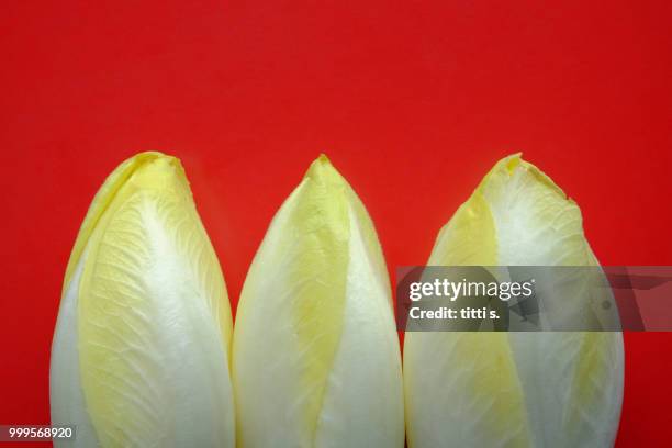 ee dsc - chicory stock pictures, royalty-free photos & images