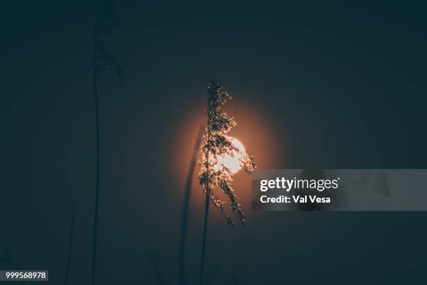 sunset in a nutshell - val vesa stock pictures, royalty-free photos & images