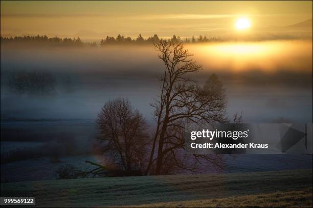 golden sunrise in southern bavaria - kraus stock pictures, royalty-free photos & images