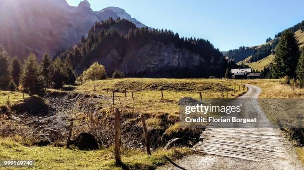 the path in the alps - florian schweizer stock-fotos und bilder