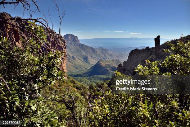 a valley in the chisos mountains with views to other peaks... - chisos mountains stockfoto's en -beelden