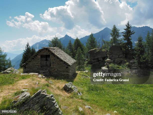 view of alpe ciampalbino pasture on mount teggiolo, divedro valley - ヴェルバーノ・クジオ・オッソラ県 ストックフォトと画像