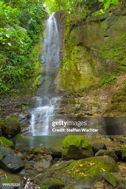 waterfall in the jungle, rocks, puntarenas province, costa rica - puntarenas stockfoto's en -beelden