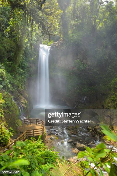 waterfall in the rainforest, vara blanca, alajuela province, costa rica - alajuela province stock-fotos und bilder
