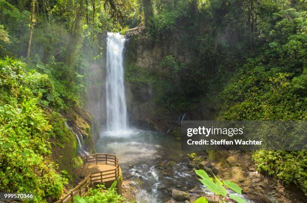 waterfall in the rainforest, vara blanca, alajuela province, costa rica - alajuela province stock-fotos und bilder