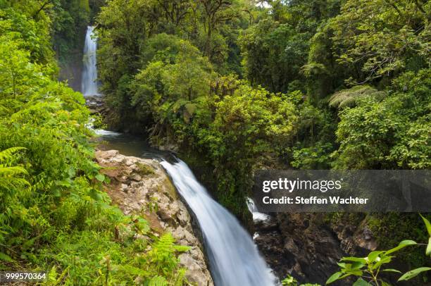 waterfalls in the rainforest, vara blanca, alajuela province, costa rica - alajuela province stock-fotos und bilder