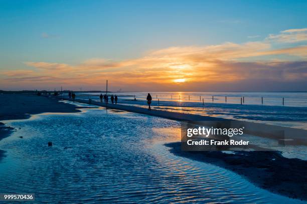beach walkers at the wadden sea on the north sea coast in the blue hour at sunset, norddeich, lower saxony, germany - norden stockfoto's en -beelden