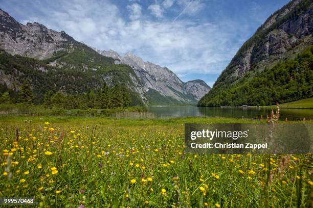 alpine meadow with view of lake koenigssee, at salet, berchtesgaden, bavaria, germany - berchtesgaden alps stock pictures, royalty-free photos & images